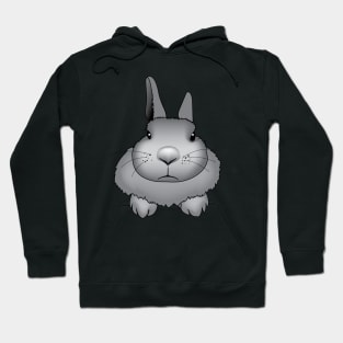 fat rabbit Hoodie